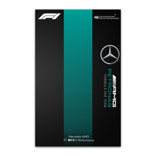 Рамка настенная для конструктора F1 Mercedes AMG Petronas W14